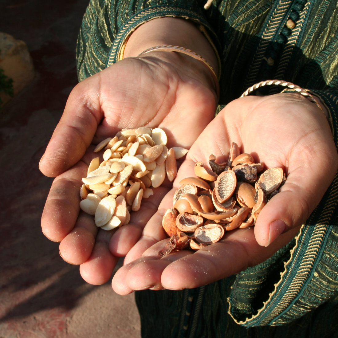Huile d’argan vs jojoba : quelles différences ?